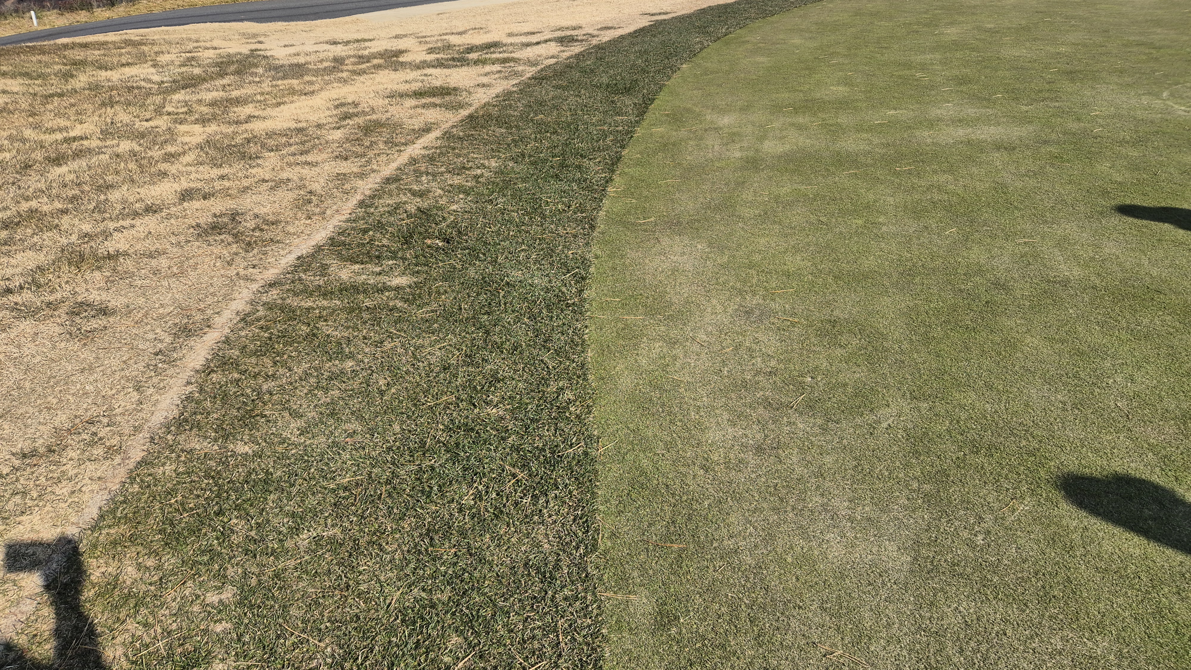 힐데스하임 레이크-힐 코스 그린관리 상태