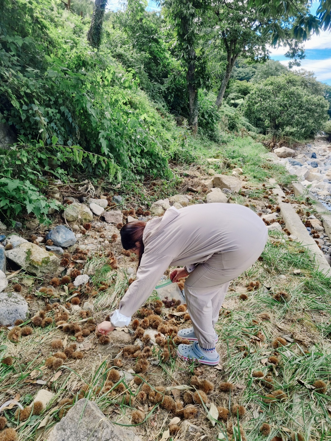 사과 향기 캠핑장