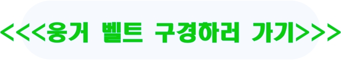 웅거 벨트
