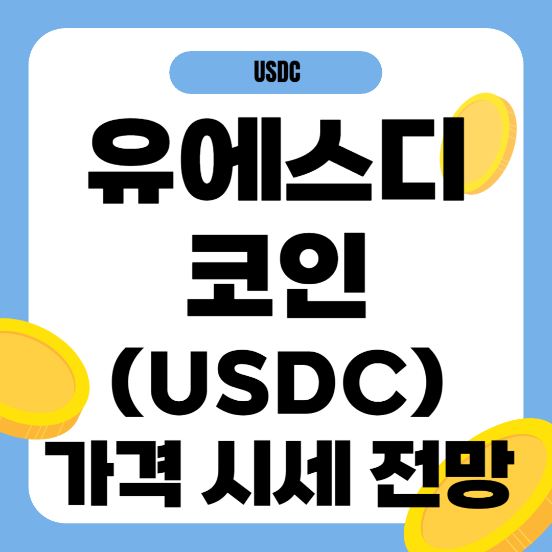 유에스디 코인 가격 전망