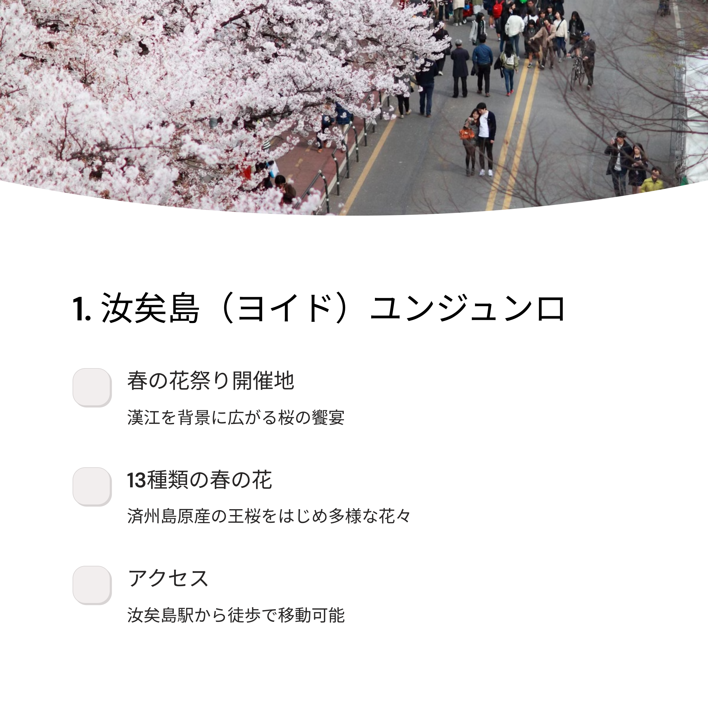 2025年 ソウル桜の名所 TOP 10 完全ガイド - インスタ映えスポットから穴場まで
