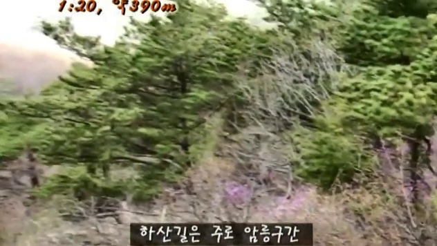 암릉 하산 구간 자막과 함께 보이는 소나무 비탈