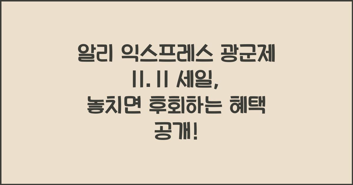 알리 익스프레스 광군제 11.11 세일