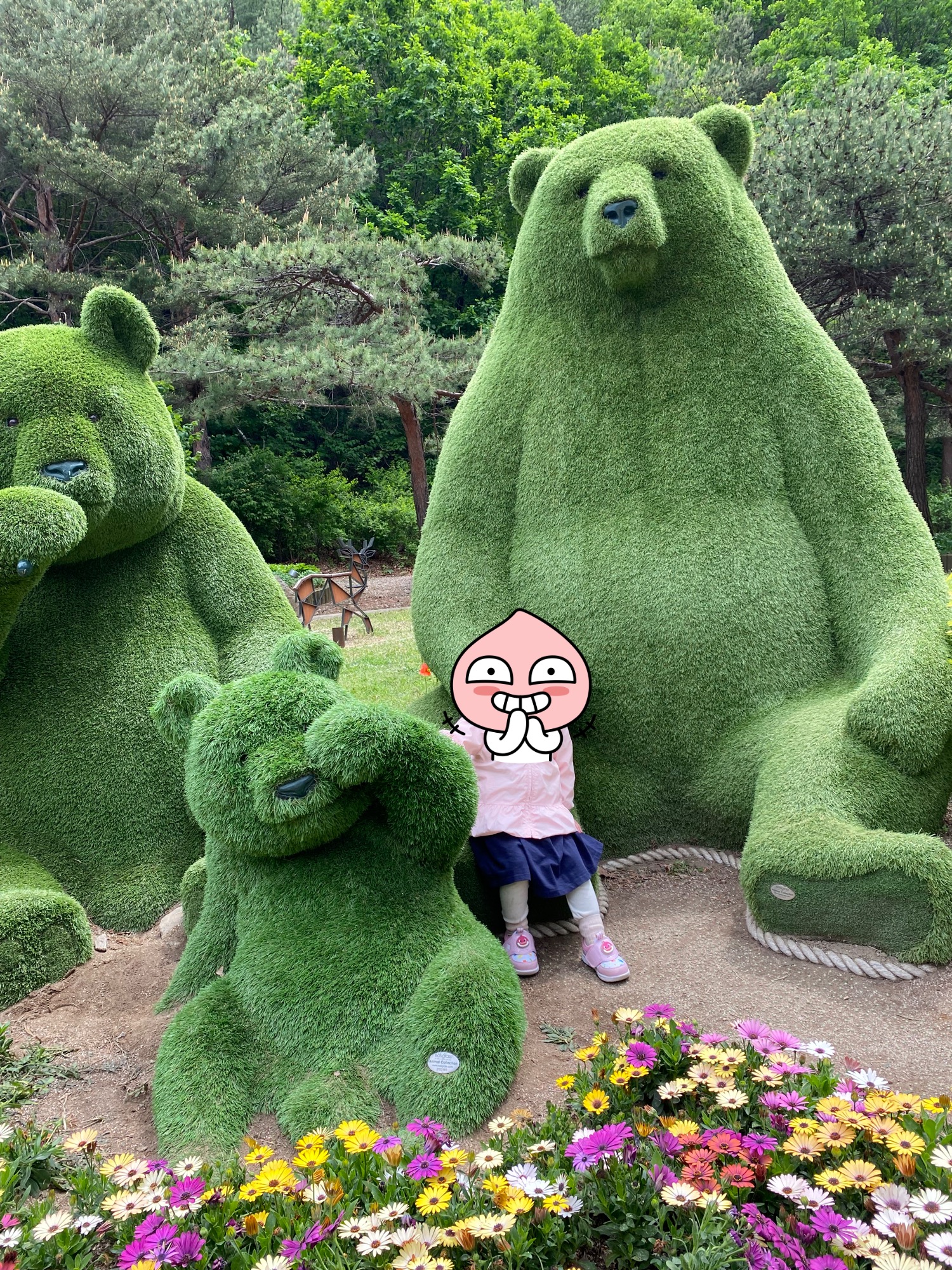강릉솔향수목원 잔디광장