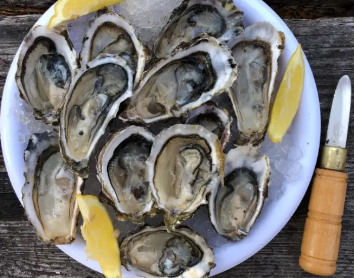 노로바이러스 증상