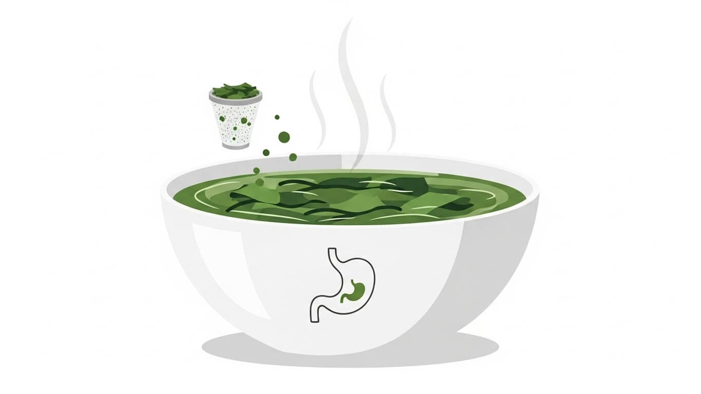 2. 2위: 매생이 – 위장 보호와 미세먼지 시대의 필수품