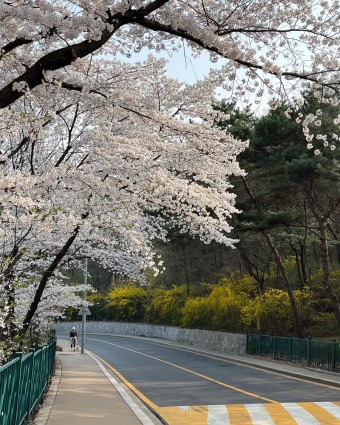 인왕산길-북악스카에웨이