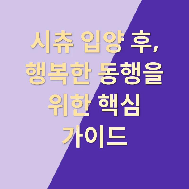 시츄 입양_3