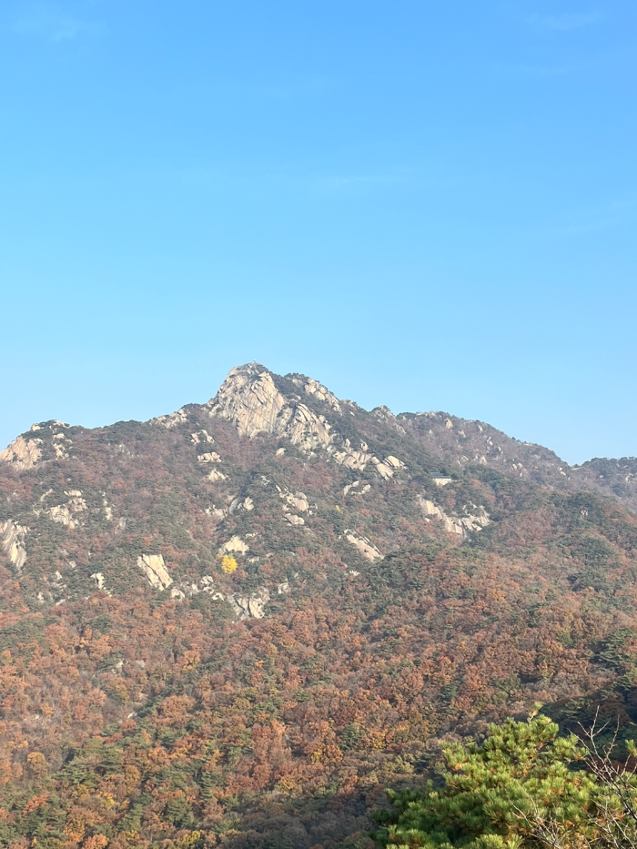 저기에서 내려다보면 어떨까요