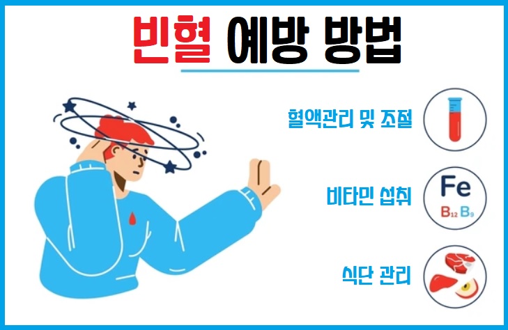 빈혈 예방 방법