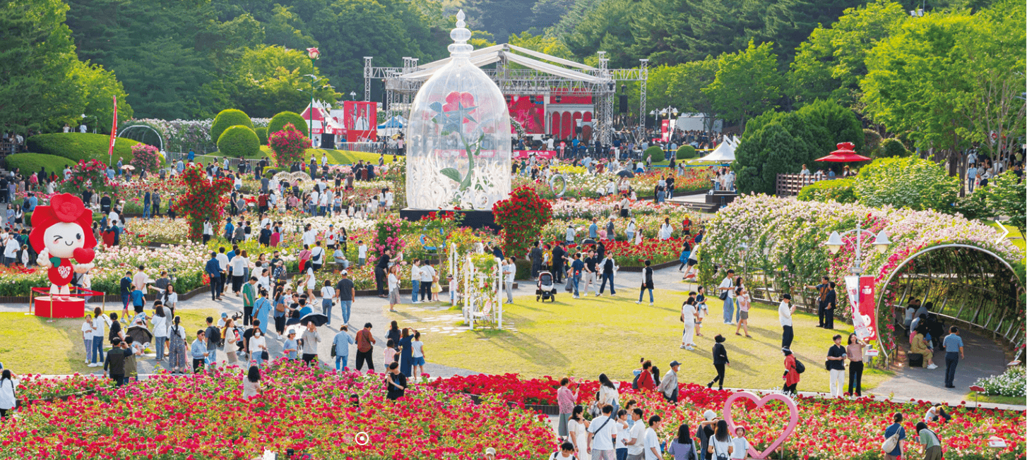 울산대공원장미축제 풍경