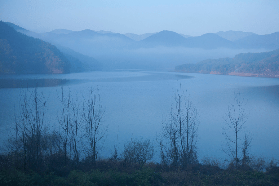 양평 두물머리 새벽 힐링 여행