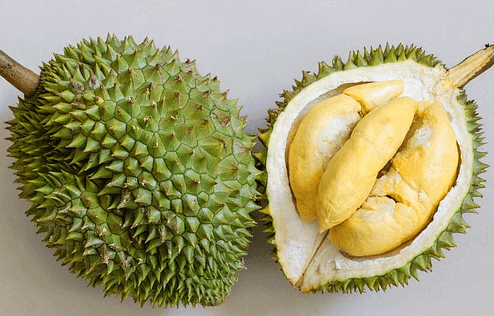 돌기가 뾰족한 녹색 두리안 한통과 반으로 자른 두리안이 있다. 속 열매는 긴 타원형으로 노르스름하다.