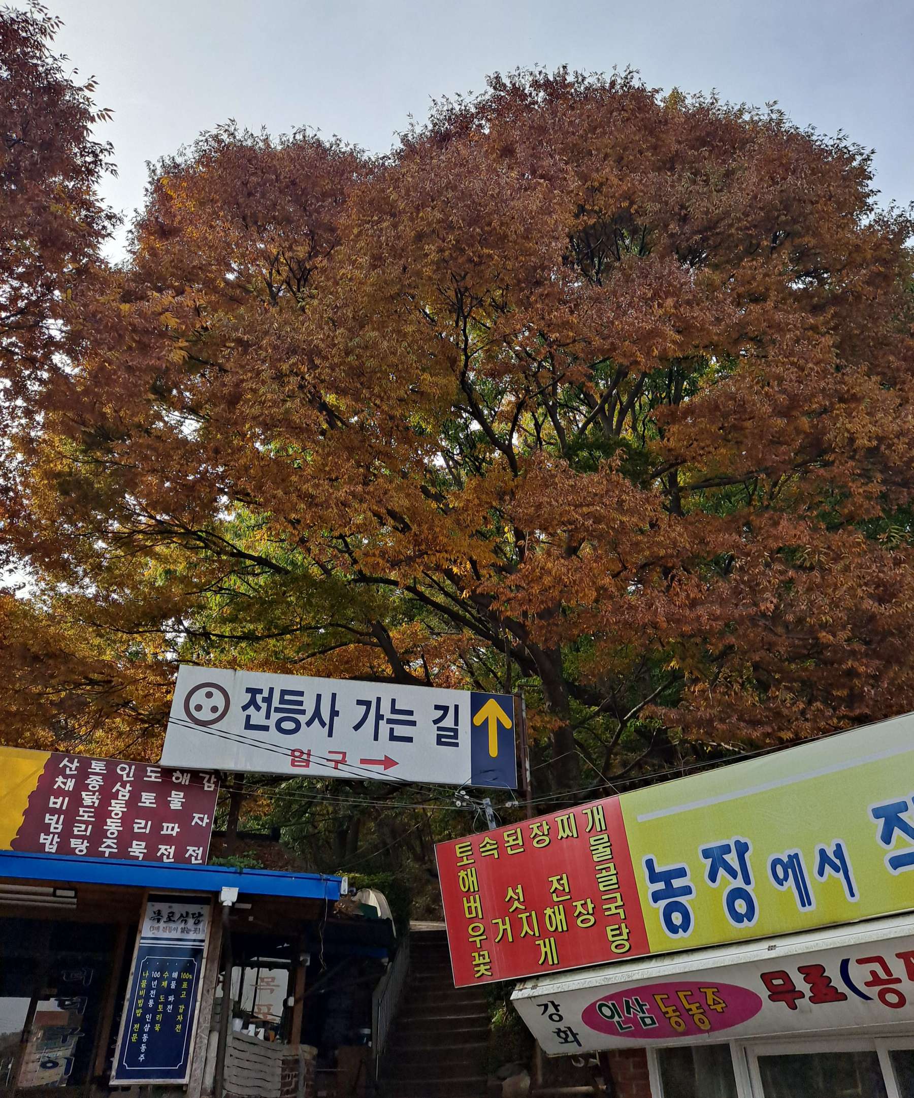 전등사 가는길 입구