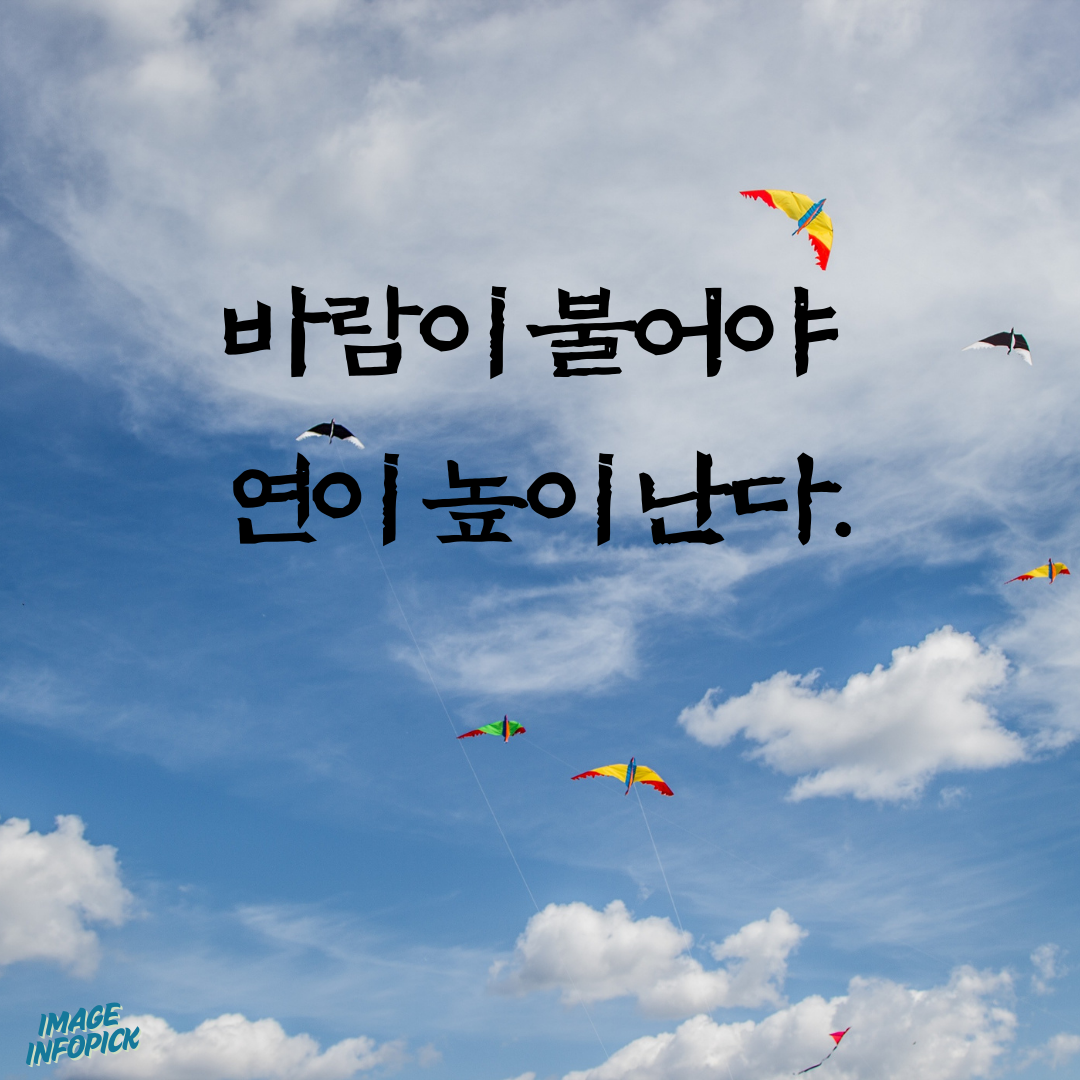 캘리그라피 글귀 모음 좋은 글