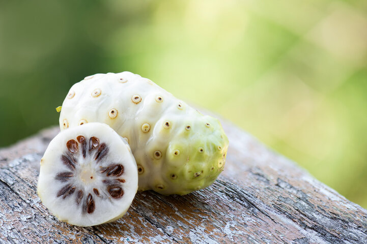 노니 효능 및 부작용 알아보기 