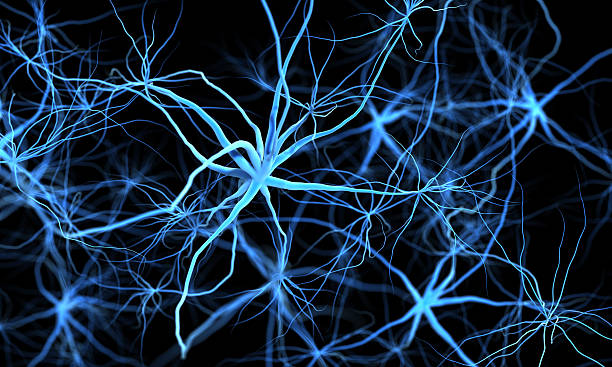 암세포 전이란 무엇인가