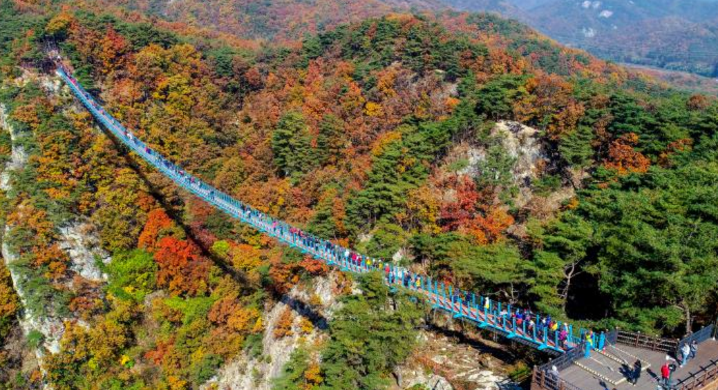 소금산 출렁다리 전경