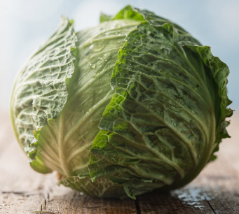 양배추 효능
