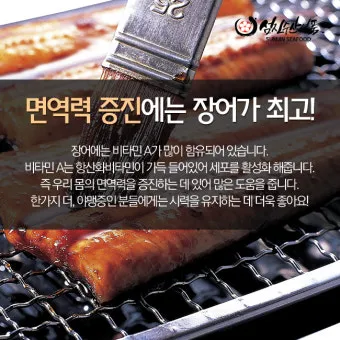 장어 효능 장어와 상극인 음식 건강 상식_5