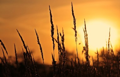 1월1일 해뜨는 시간