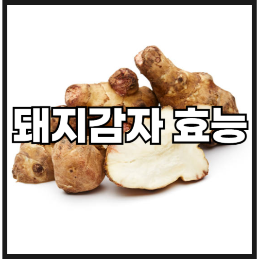 돼지감자 효능