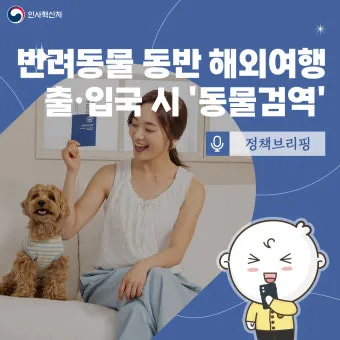반려동물과 해외여행 기내 직항 펫 전용 준비와 절차_26