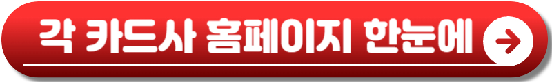 민생회복 소비쿠폰