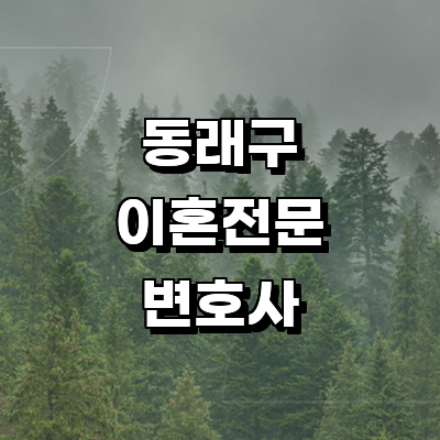 부산 동래구 이혼 변호사