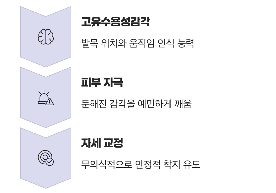 내 몸의 내비게이션을 깨우다