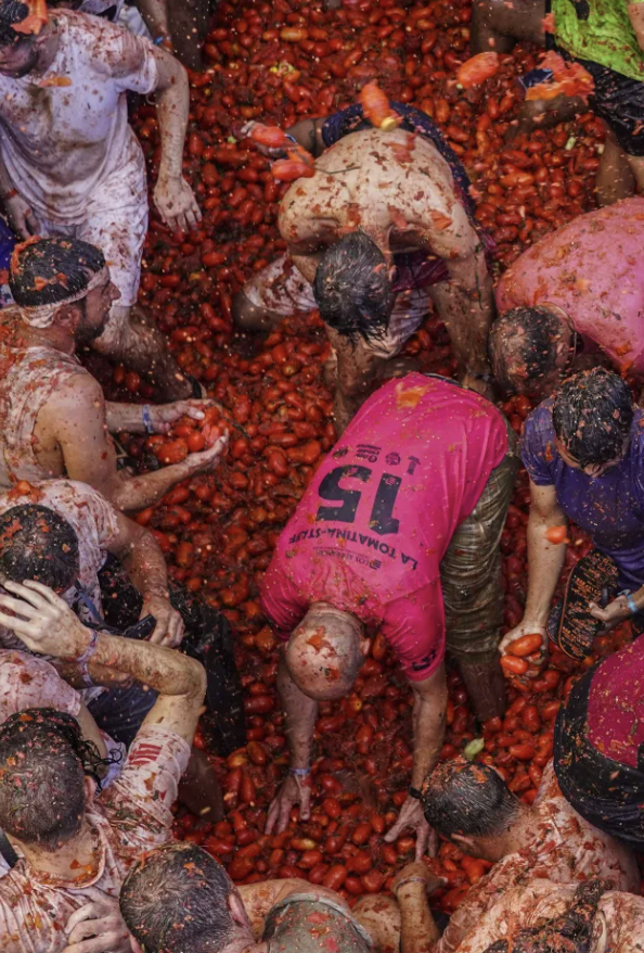 스페인 피에스타