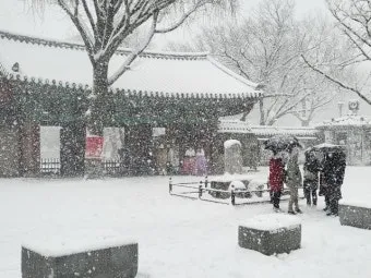 전주 한파 경보 아침 출근 길 미끄럼 주의 보행 요령_12