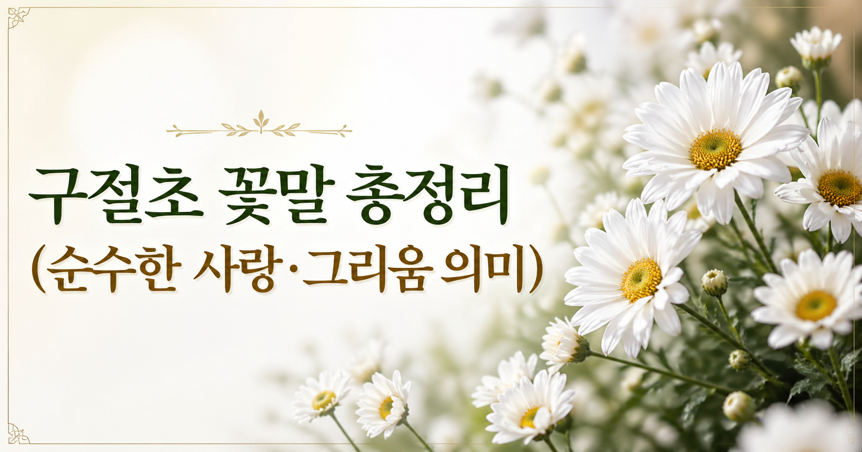 구절초 꽃말