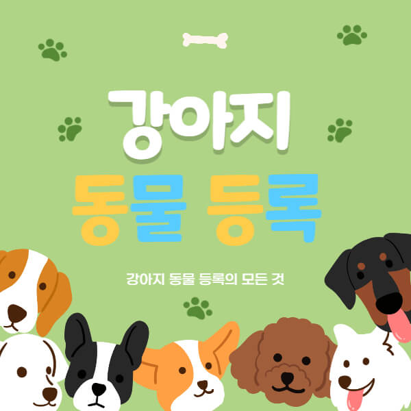 강아지_동물등록_썸네일