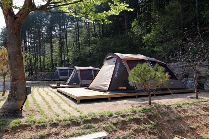 포천 포시즌스 오토캠핑장 소개