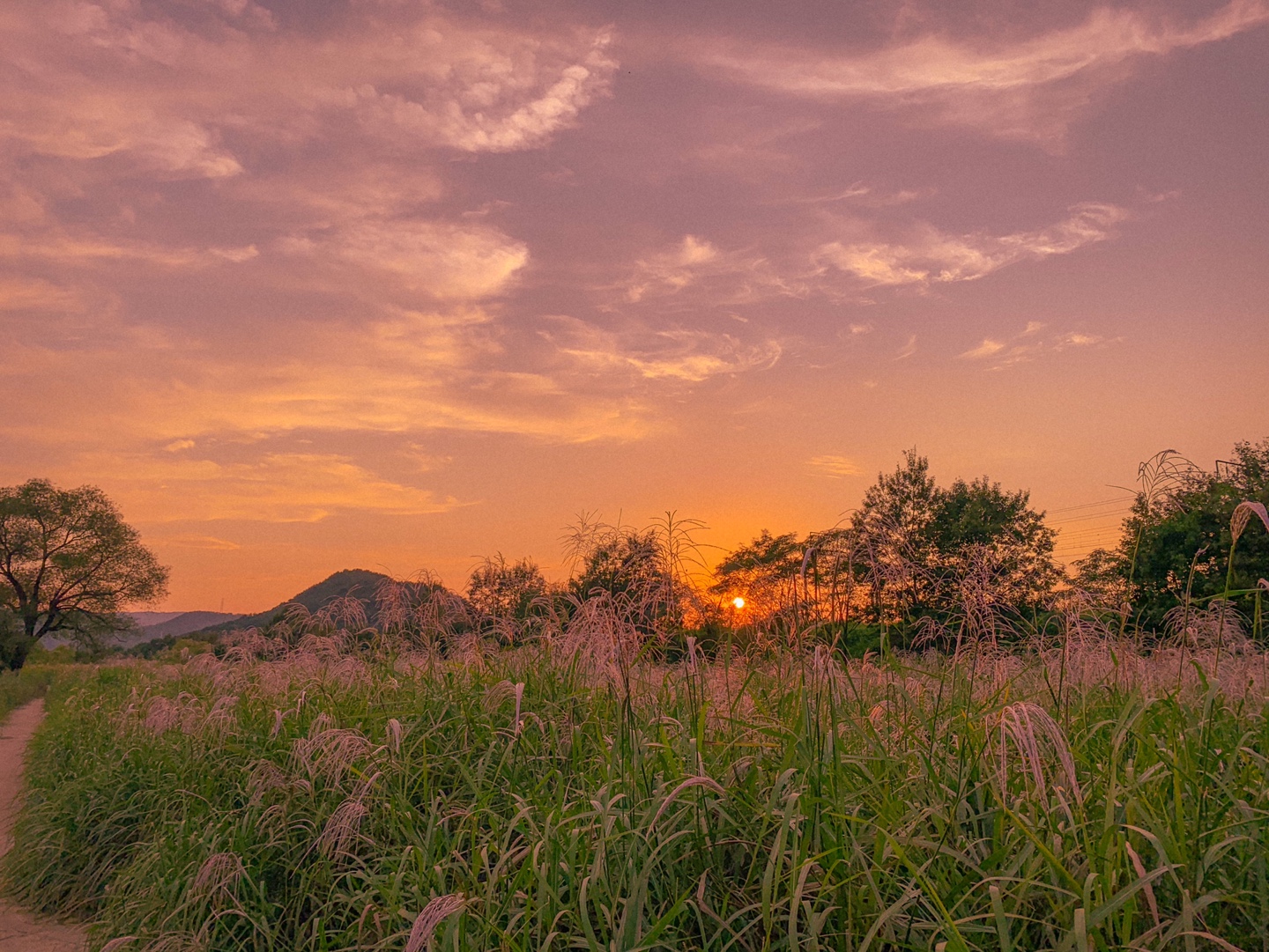 김해 가볼만한곳 베스트10