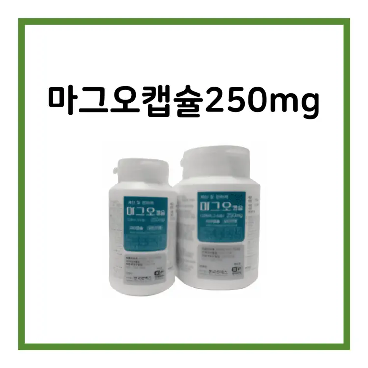마그오캡슐250mg-이미지
