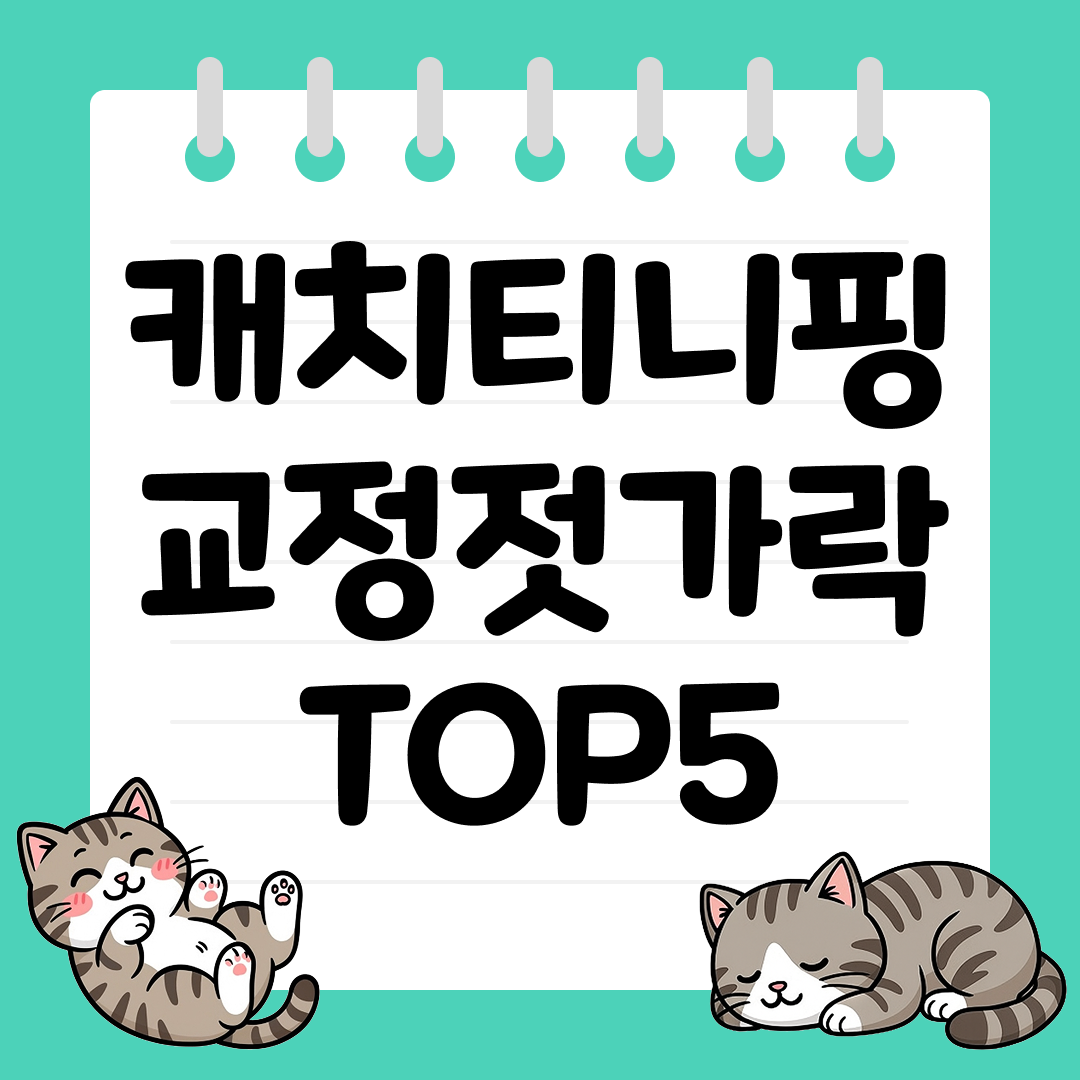 아이의 식습관을 돕는 캐치티니핑 교정젓가락 추천 TOP5