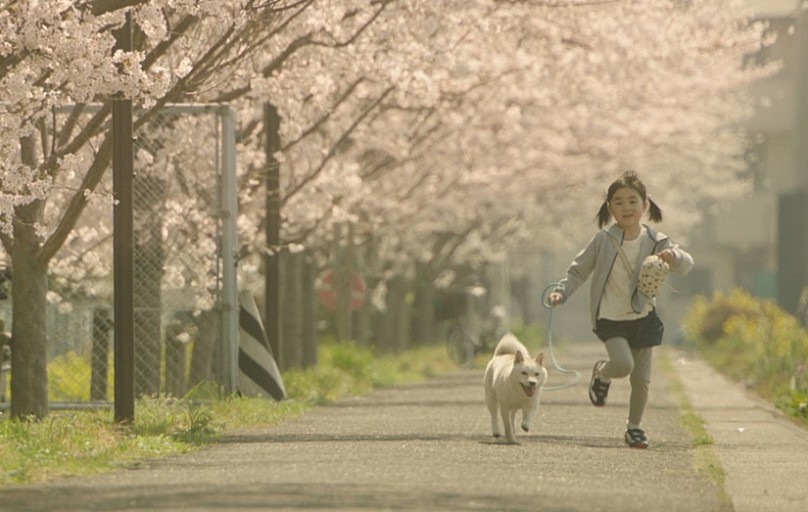 강아지와 함께 뛰어 오는 소녀의 모습