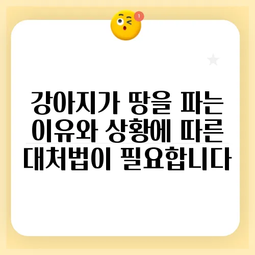 강아지가 땅을 파는 이유와 상황에 따른 대처법이 필요합니다