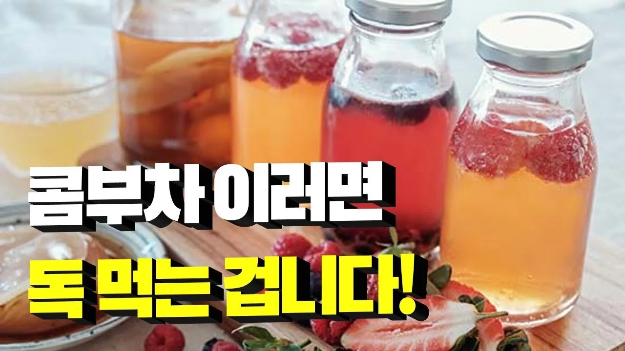 콤부차 효능_9