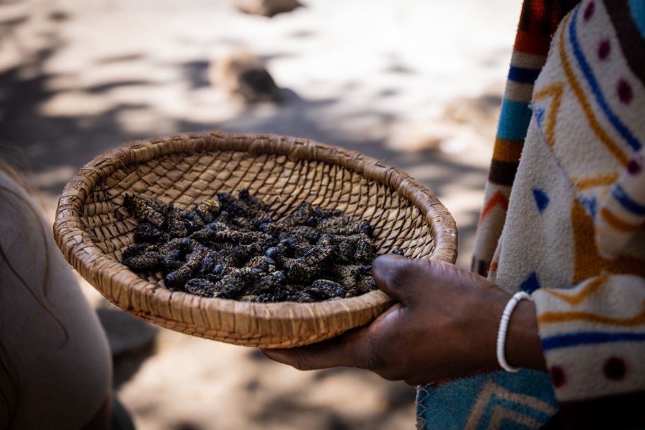 A hand holding a woven basket containing seeds, emphasizing traditional harvesting techniques.