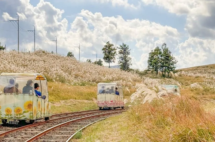 제주도-동쪽-테마파크-제주-레일바이크-액티비티-추천-기차길-레일바이크