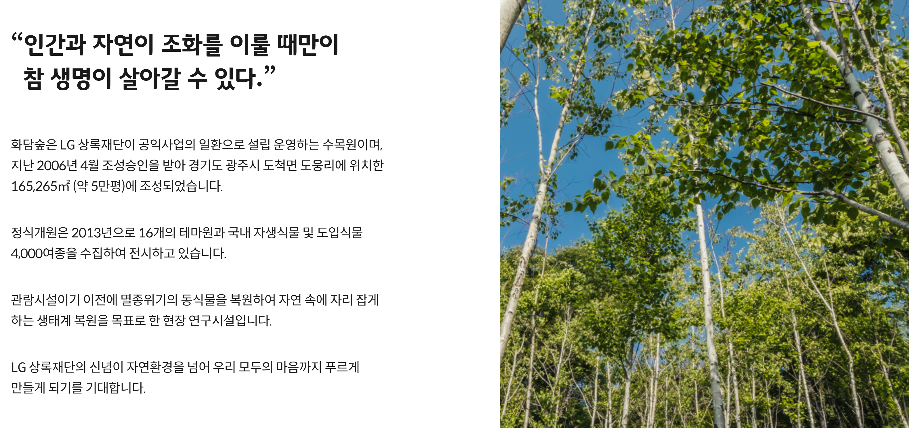 곤지암 화담숲 200% 즐기기: 예약, 모노레일, 가격, 주차 완벽 가이드