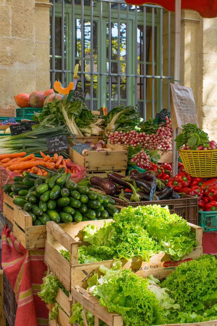 40대 간에 좋은 영양제 추천