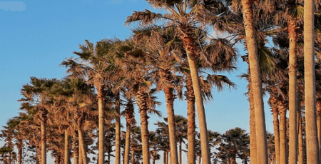 제주 렌트카 주의사항