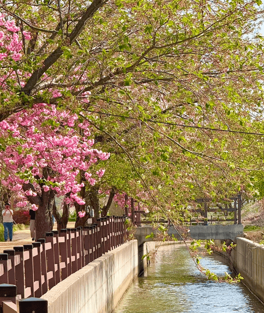 경주선덕여왕길