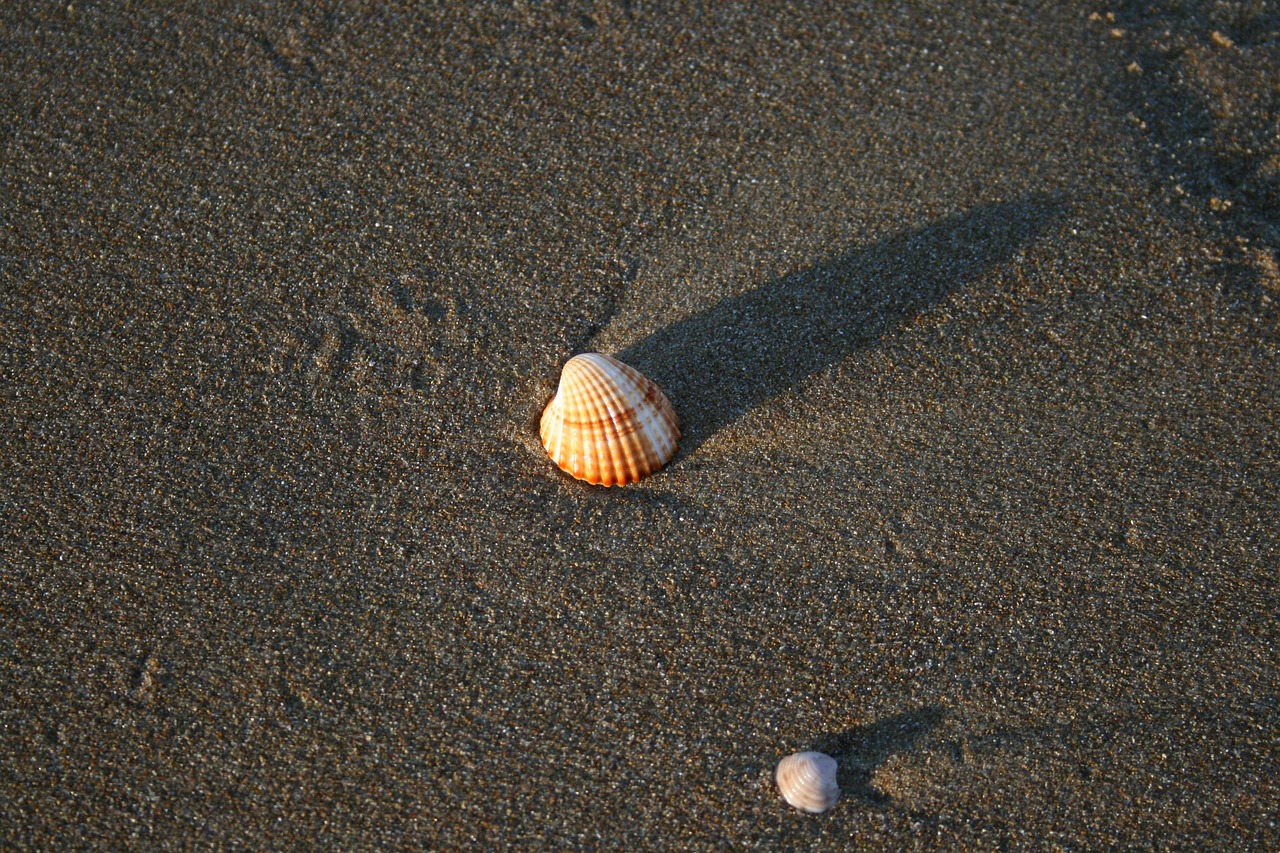 남해 펜션예약, 바다 앞에서 즐기는 감성 여행