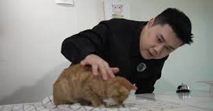 권성준 프로필 쉐프 나이 학력 고향 언더커버쉐프 흑백요리사 권성준