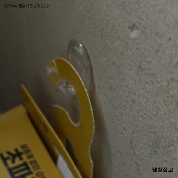 초파리 날파리 제거방법 다이소 리스테린 초파리싹